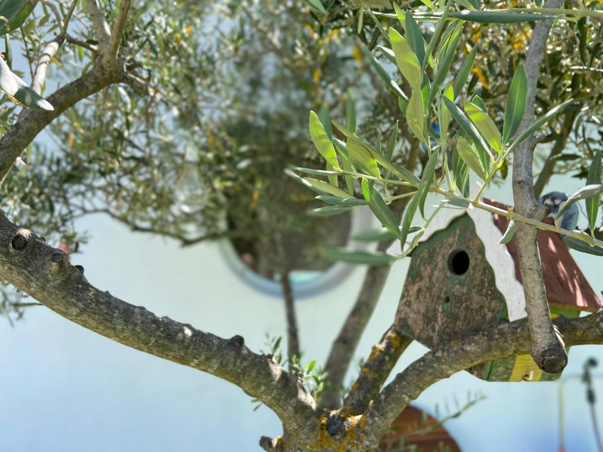 L'Oliveraie Robion en Luberon Buitenkant foto