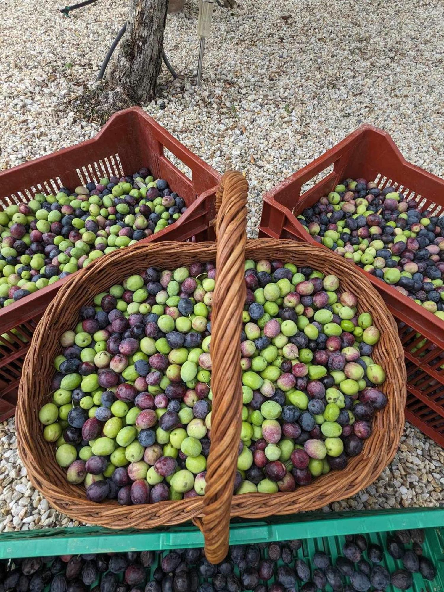 L'Oliveraie Robion en Luberon Buitenkant foto